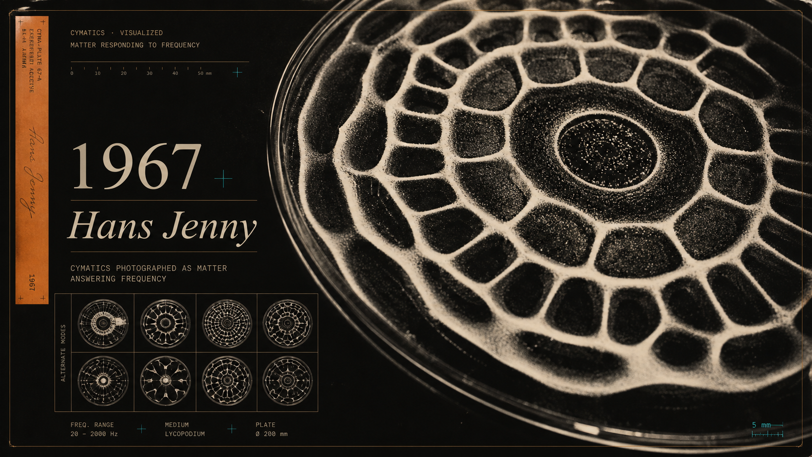 1967 Hans Jenny: Archival-style cymatics photograph showing matter organized into radial nodal ridges.